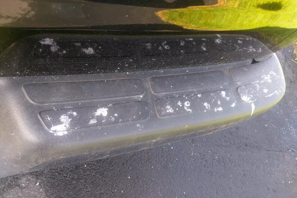 Will Shark Van Bumper EVER Get Clean? Intern Josh Tries 89 Cent Hack
