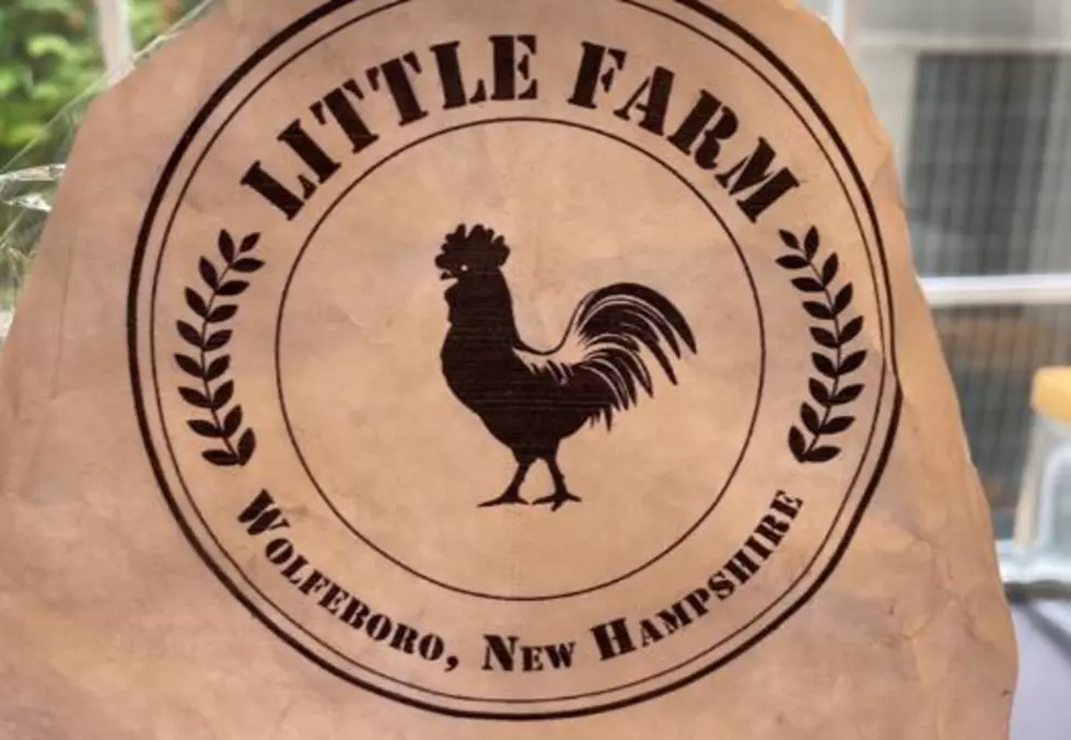 Wanna Visit an Adorable Farm in Wolfeboro, New Hampshire? Fall is the Perfect Time